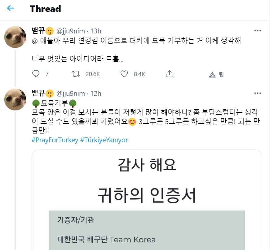 터키 산불에 팀 코리아 - 김연경 이름으로 묘목 기부하기 터키 산불에 팀 코리아 - 김연경 이름으로 묘목 기부하기