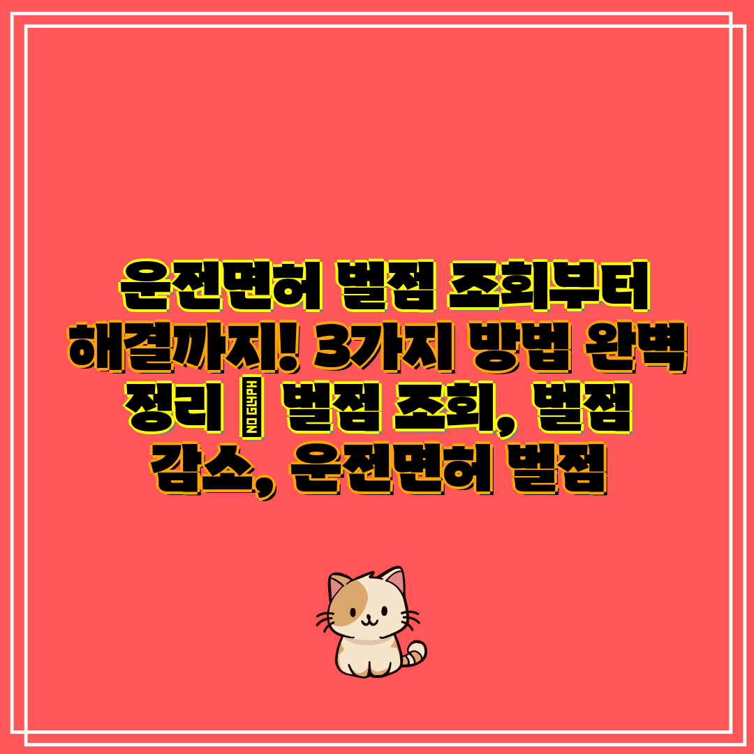  운전면허 벌점 조회부터 해결까지! 3가지 방법 완벽 