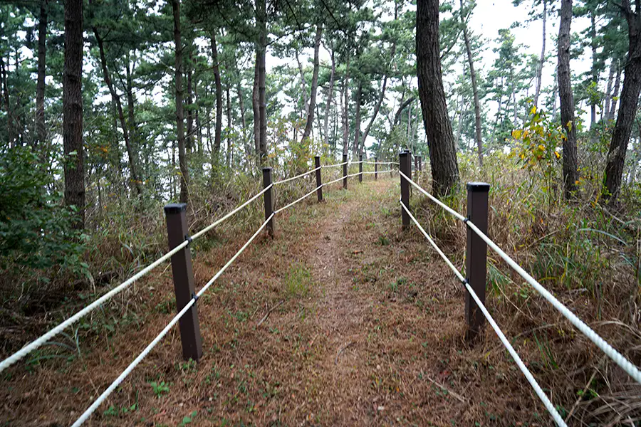 고대도 산책로
