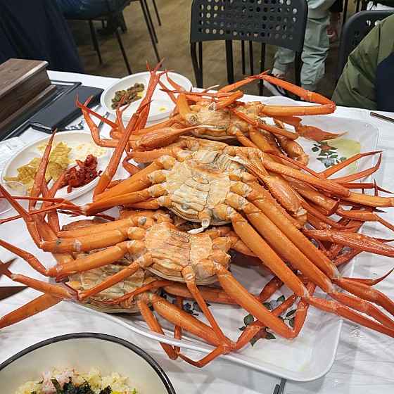 홍게야 이미지