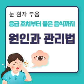  눈 흰자 부음 원인과 관리법 / 응급 조치부터 좋은 음식까지