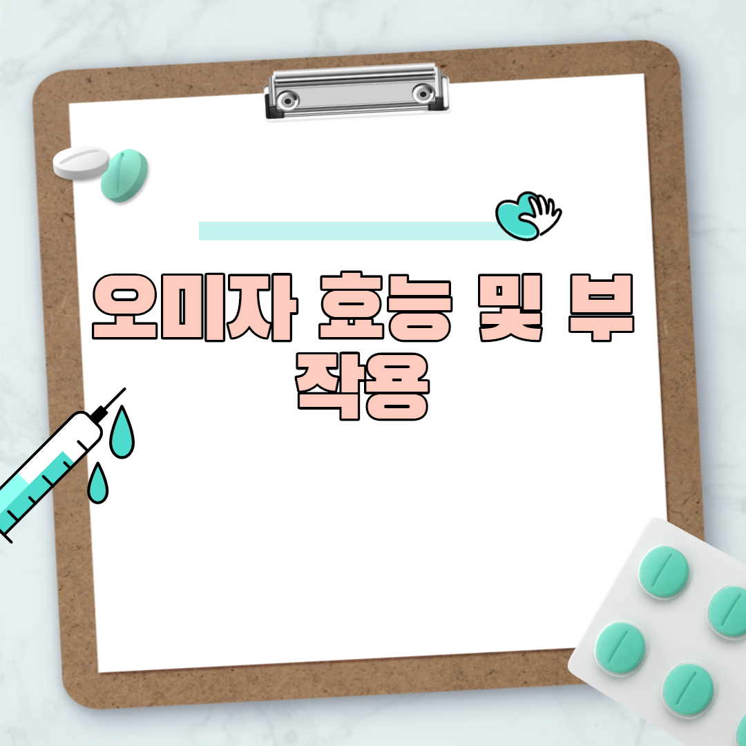  오미자 효능 및 부작용