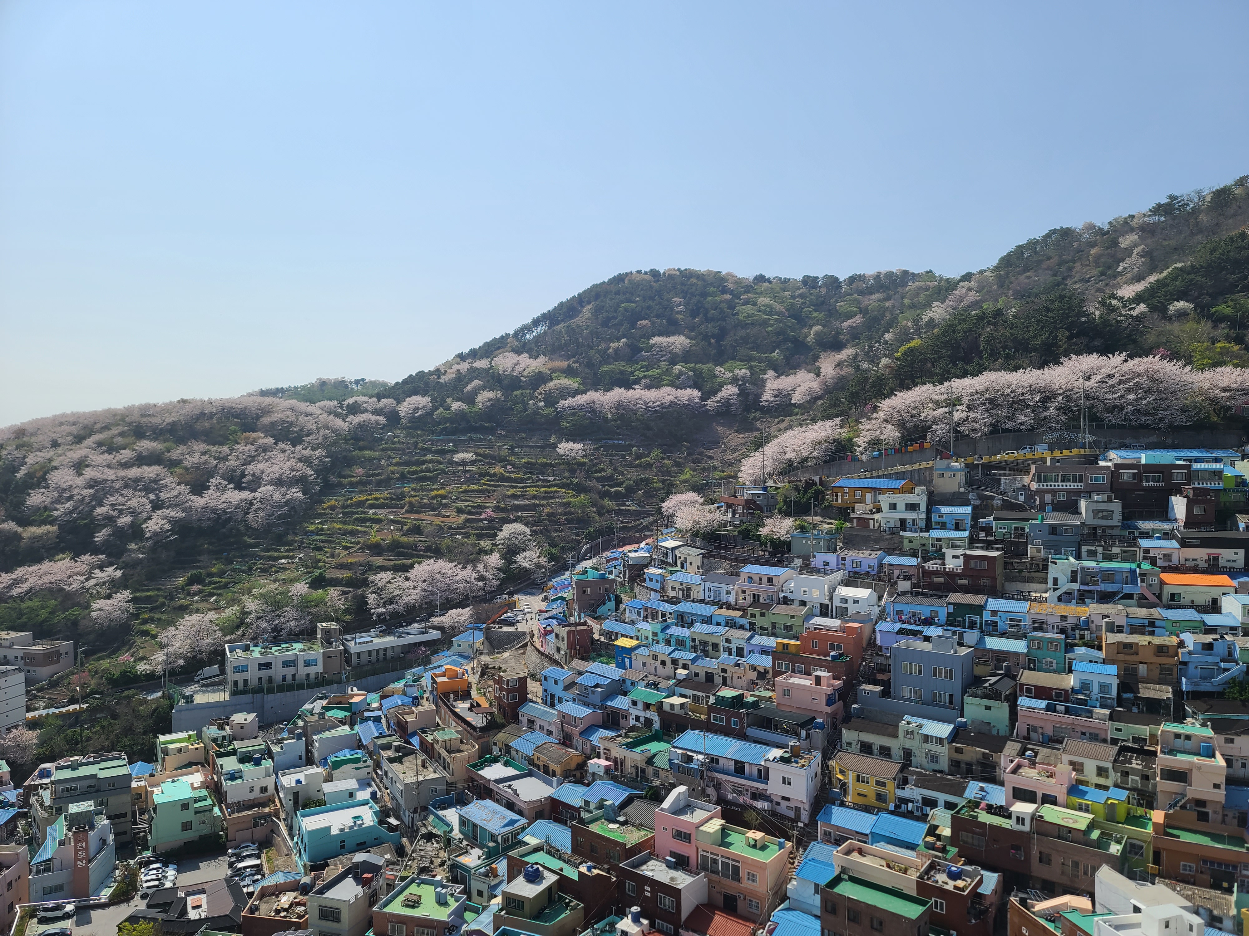 문화커피 이미지