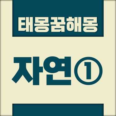  [꿈해몽풀이] 자연① 태몽 (강, 강가, 강물, 강변 등)
