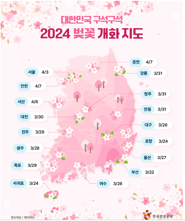 2024-전국-벚꽃-개화지도