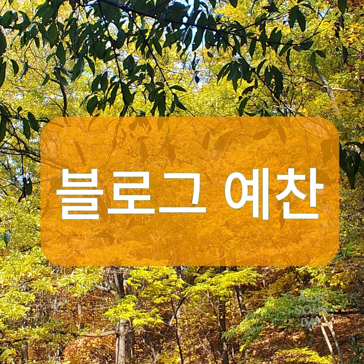  블로그로 용돈벌기