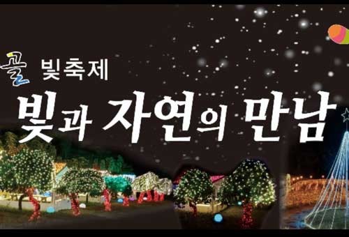 제8회 고니골빛축제 이미지