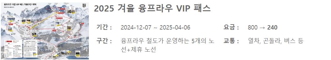 겨울 융프라우 vip패스