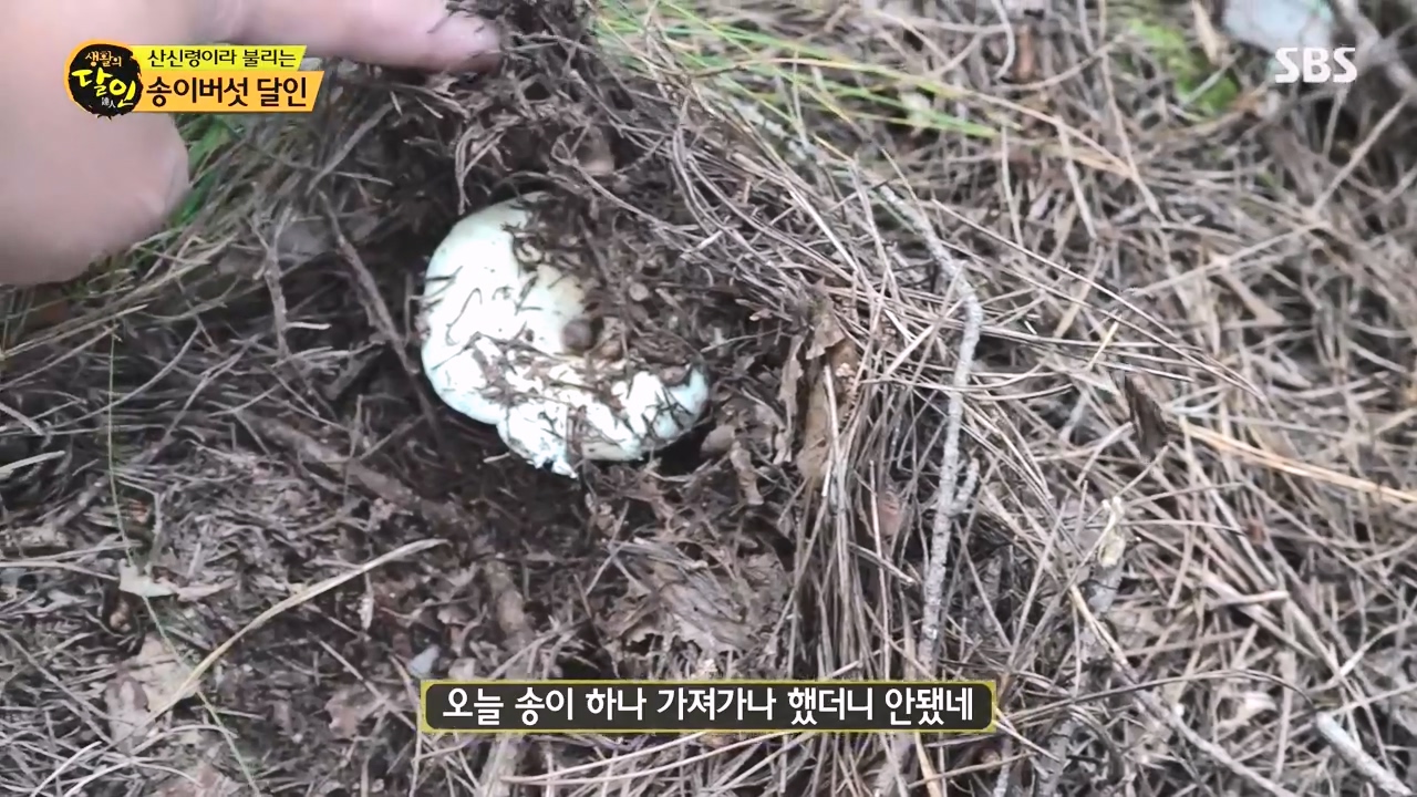 생활의 달인.E907.231010p-NEXT.mp4_20231010_202839.278.jpg