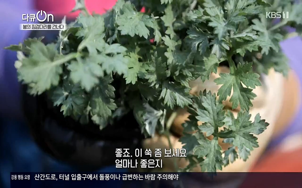 다큐 온.E132.220326p-NEXT.mp4_20220403_181722.822.jpg