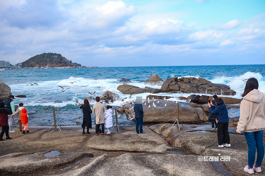 동해바다 볼거리 양양 휴휴암 16