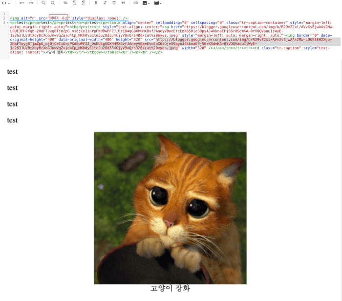 대표 이미지 설정 코드와 고양이 사진
