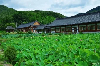 완주 가볼만한곳 베스트 10 맛집 여행 코스_5