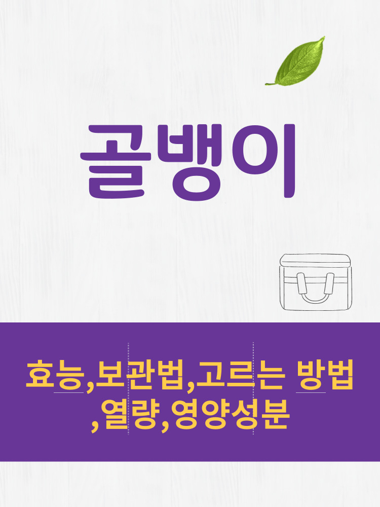  골뱅이 효능 및 열량과 보관법 칼로리 총정리 