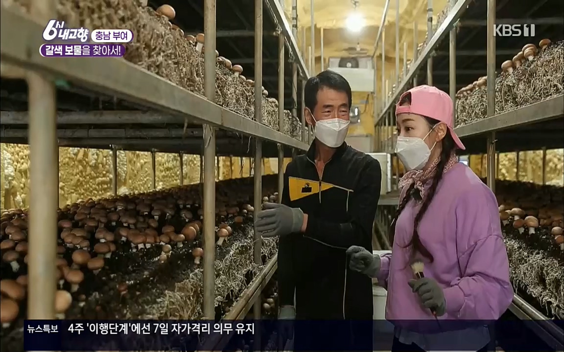6시 내고향.E7512.220416p.H264-F1RST.mp4_20220502_185337.186.jpg