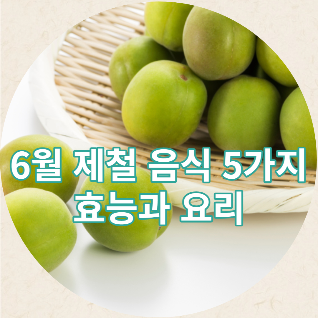 6월제철음식