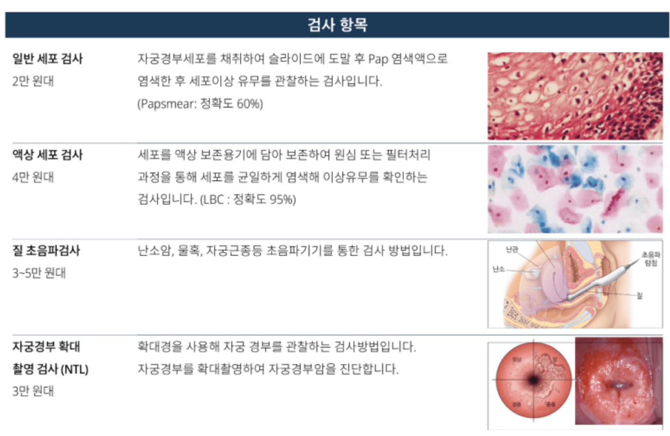 자궁경부암 예방접종 가격 자궁경부암 무료접종 대상