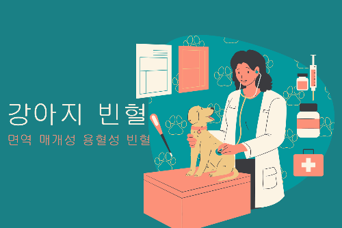 면역매개성용혈성빈혈(IMHA)