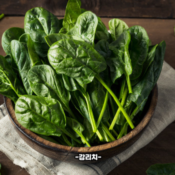 엽산이 많은 음식