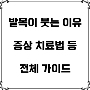 썸네일 사진