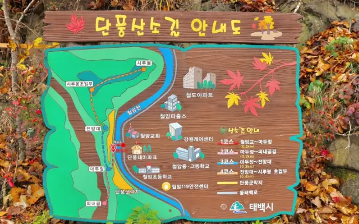  철암 단풍 군락지
