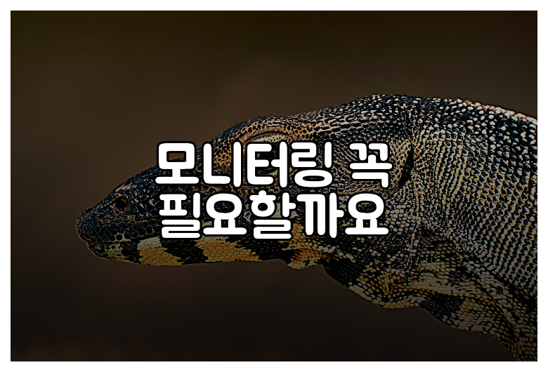 모니터링 꼭 필요할까요
