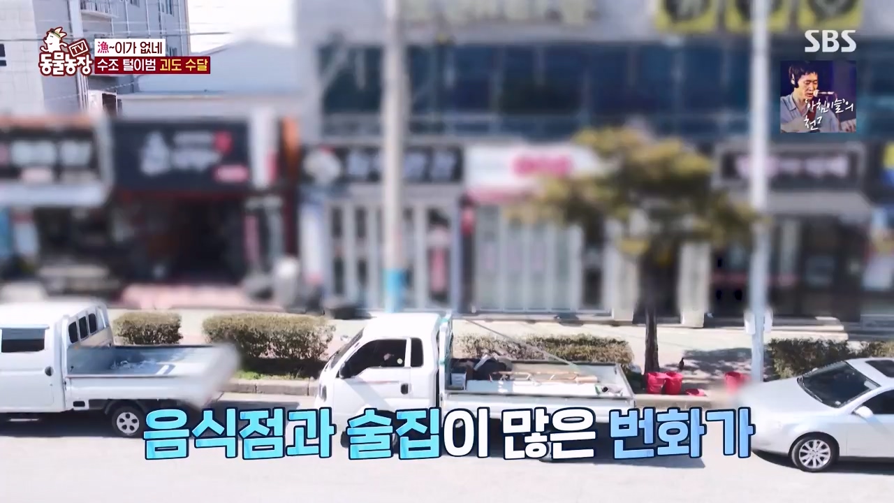 TV 동물농장.E1168.240422p-NEXT.mp4_20240421_170937.598.jpg