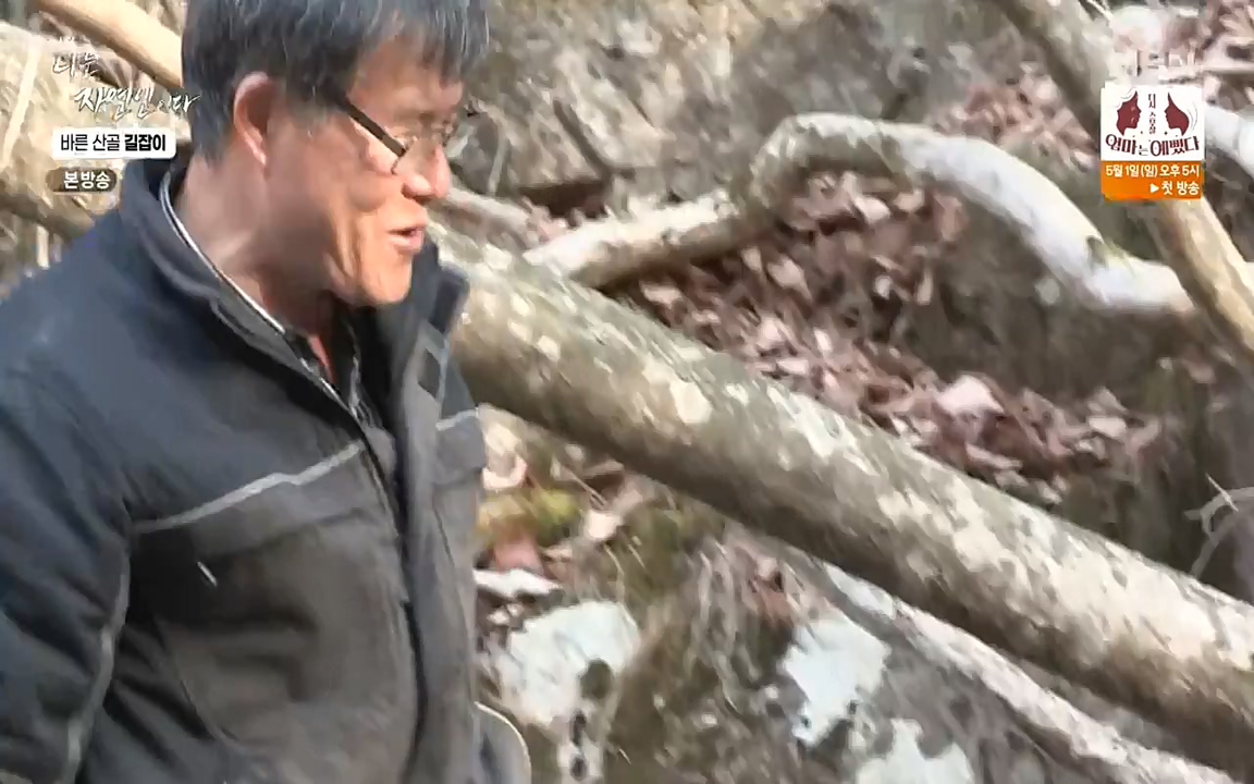 나는 자연인이다.E499.220428p-NEXT.mp4_20220428_180003.484.jpg