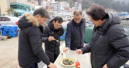 새바다 6