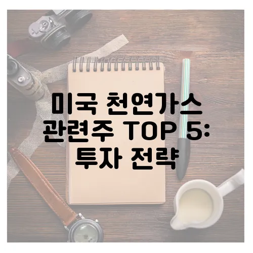 미국 천연가스 관련주 TOP 5: 투자 전략