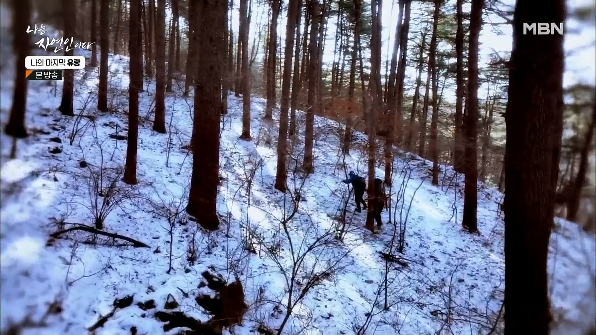 나는 자연인이다.E541.230215p.H264-F1RST.mp4_20230216_192648.016.jpg