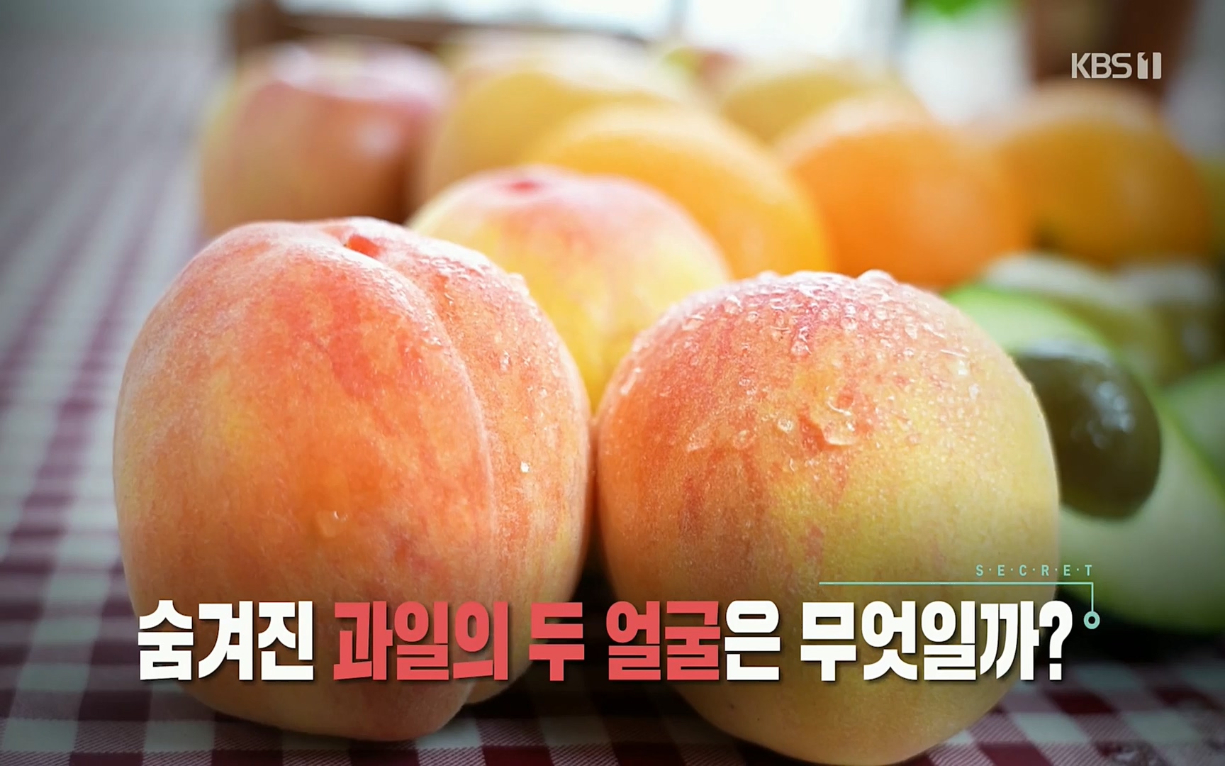 생로병사의 비밀.E829.220803p.H264-F1RST.mp4_20220804_202140.186.jpg