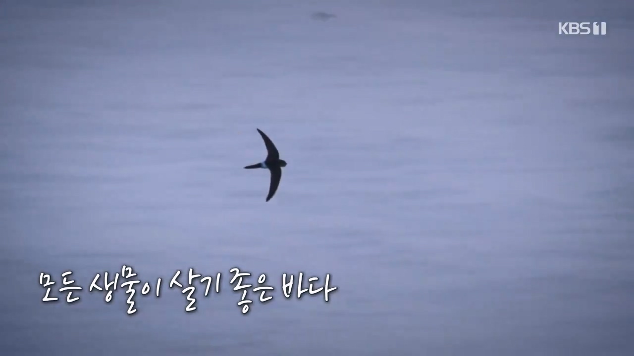 다큐 온.E206.230723p-NEXT.mp4_20230724_211959.182.jpg