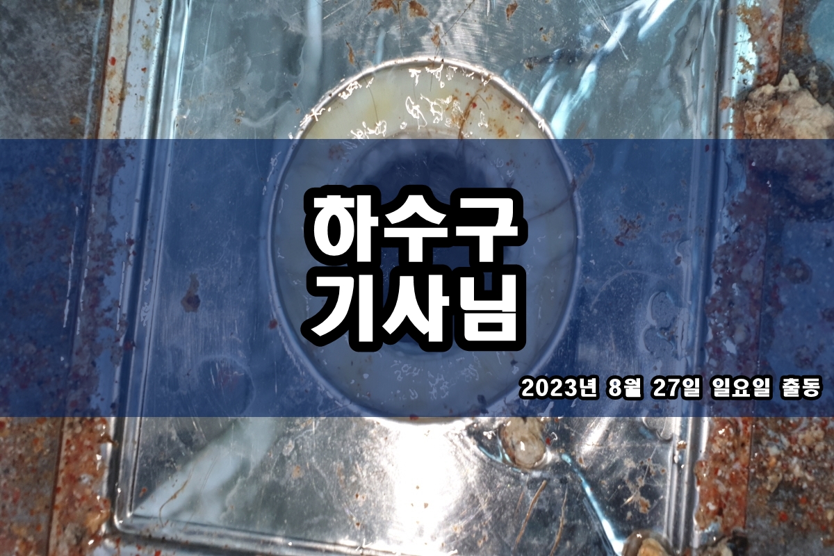  도원동 하수구 약대동 하수관 탐지 cctv 촬영 결과