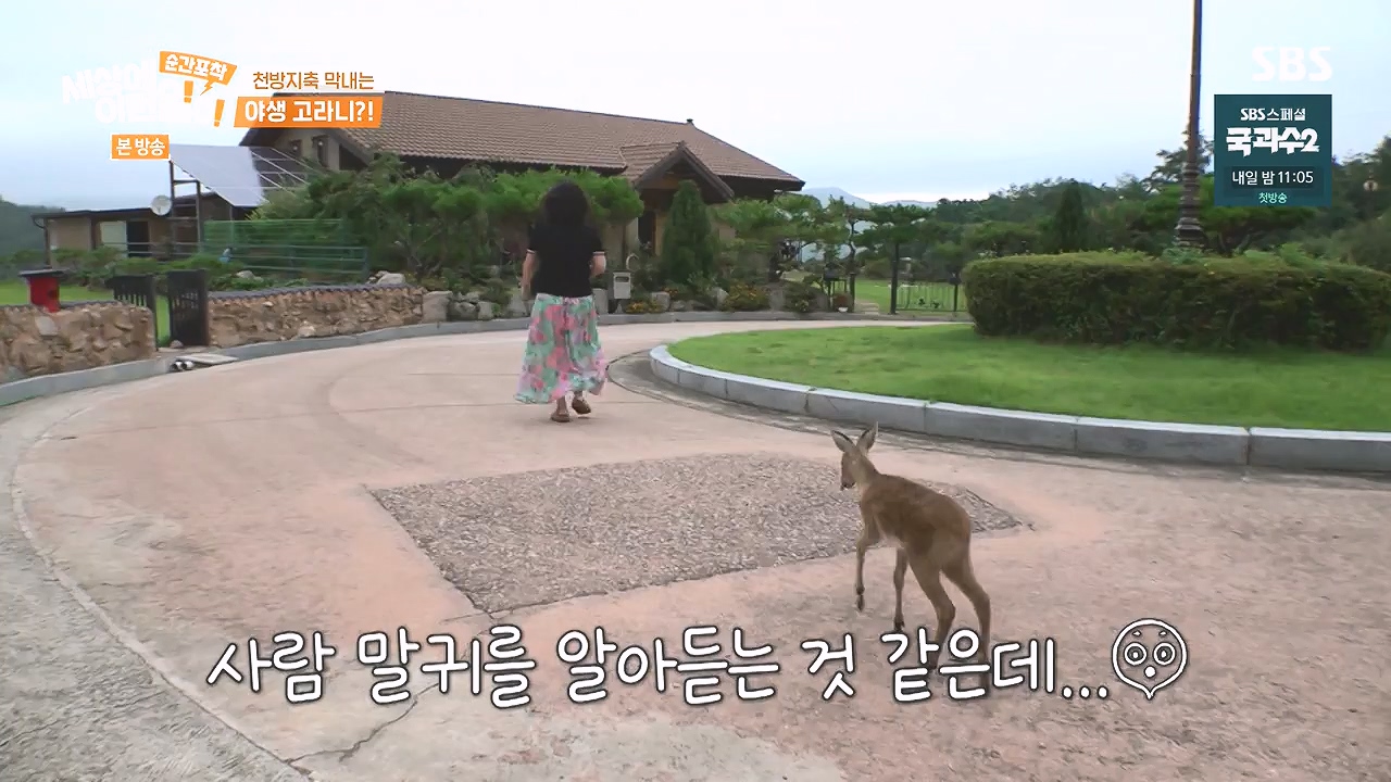 순간포착 세상에 이런일이.E1244.230903p-NEXT.mp4_20230903_173227.045.jpg