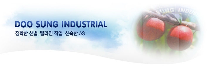 두성사 이미지