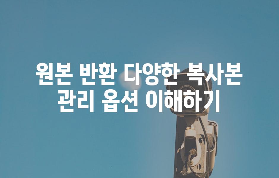 원본 반환 다양한 복사본 관리 옵션 이해하기