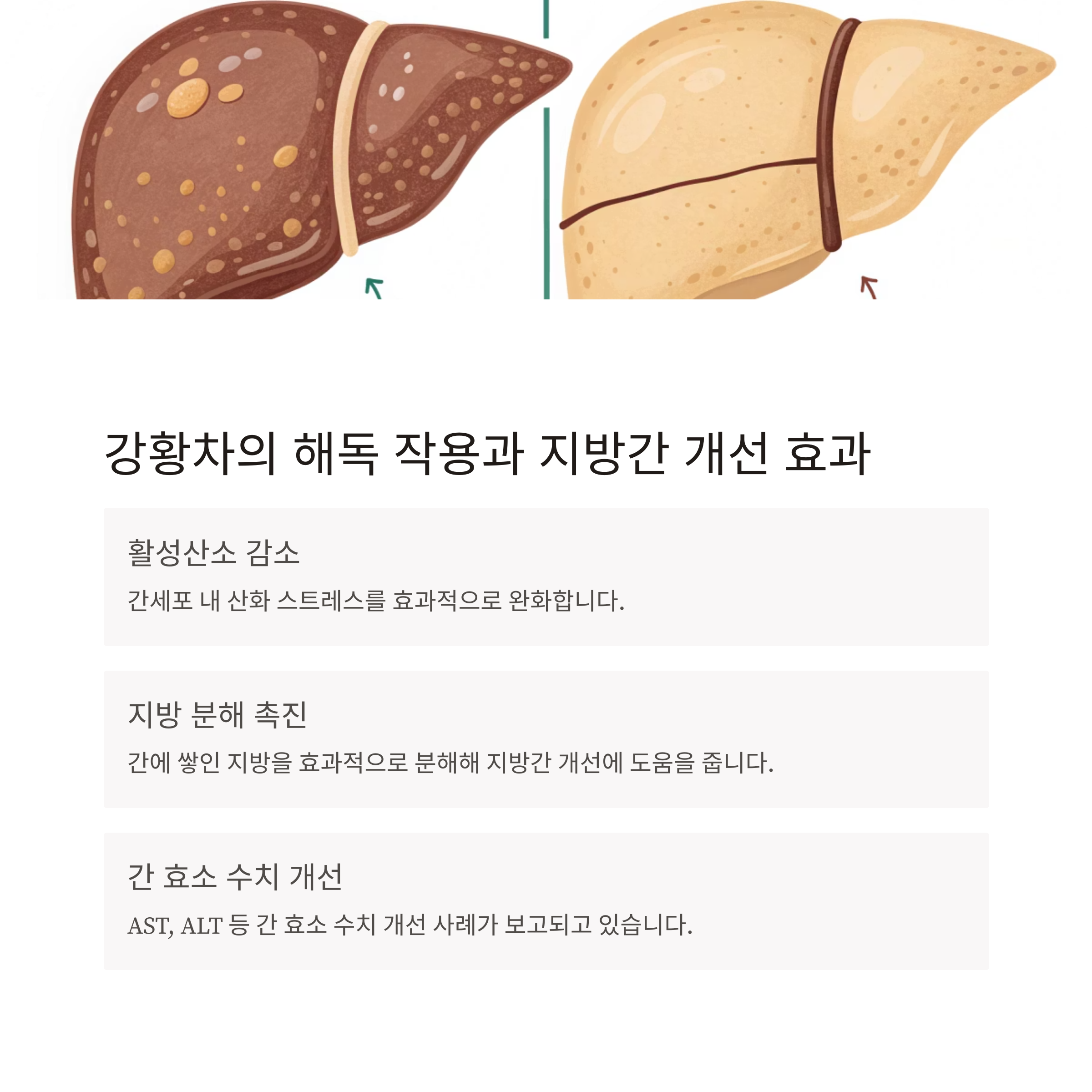 강황차