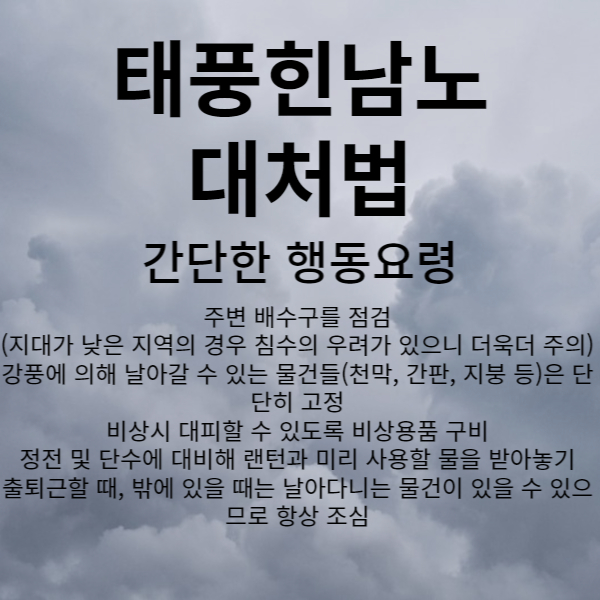 태풍힌남노대처법 행동요령