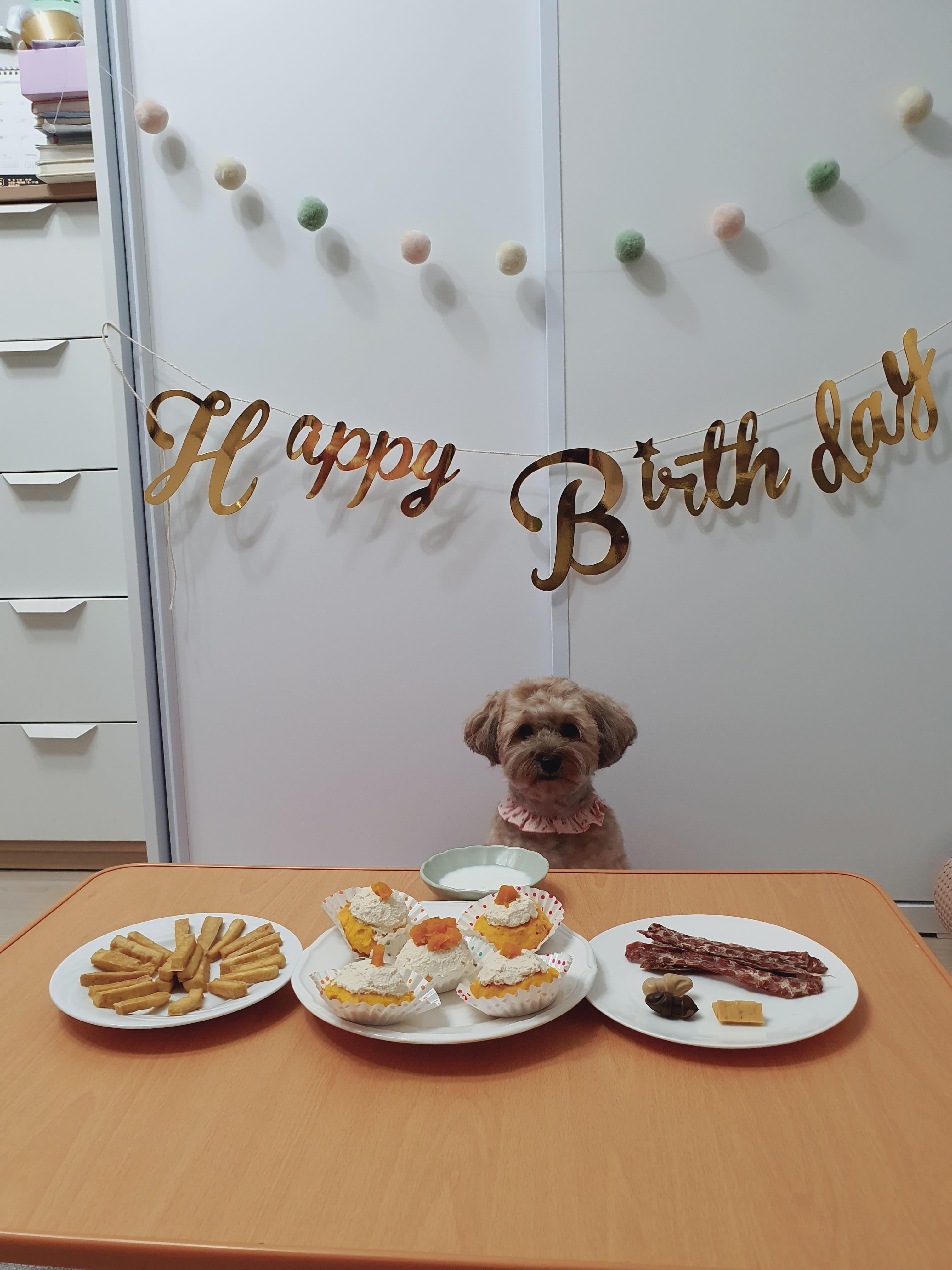 토리 생일상
