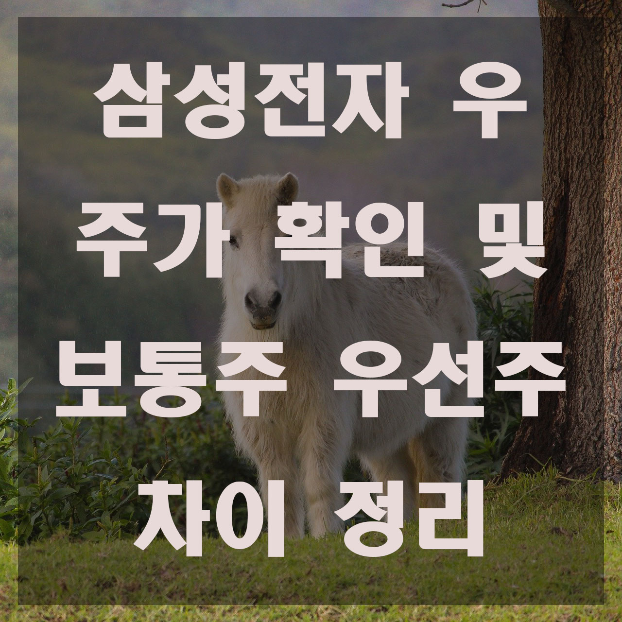  삼성전자 우 주가 전망 - 보통주 우선주 차이