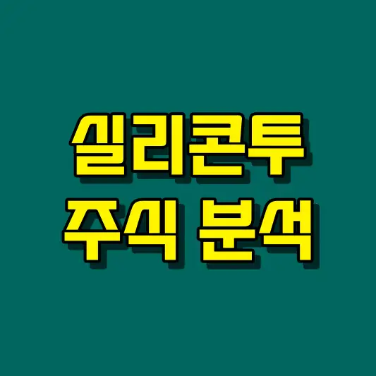 실리콘투 주식 분석