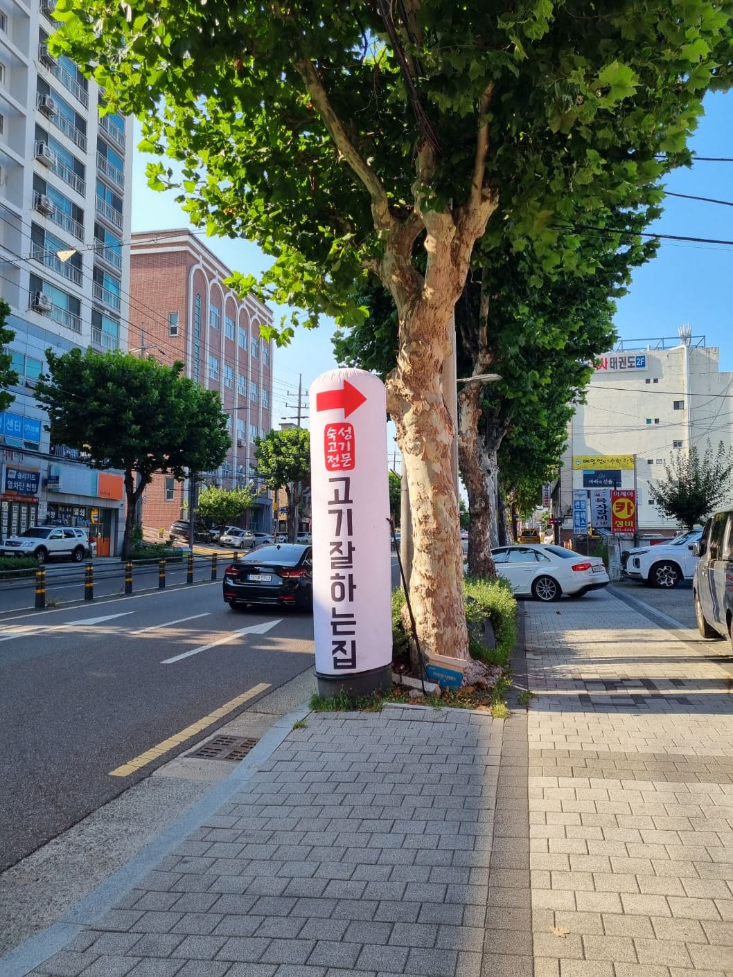 [대구 대명동] 숙성 삼겹살 맛집 '고기 잘하는 집'