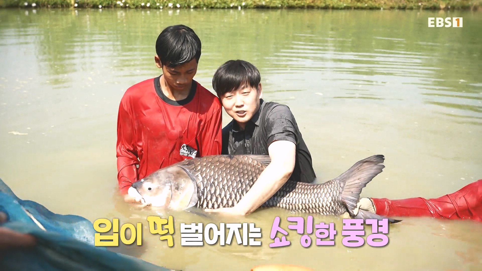 세계테마기행 240219 태국 북부 인생길 기행 -이보다 즐거울 수가!0p.mp4_20240803_160116.487.jpg