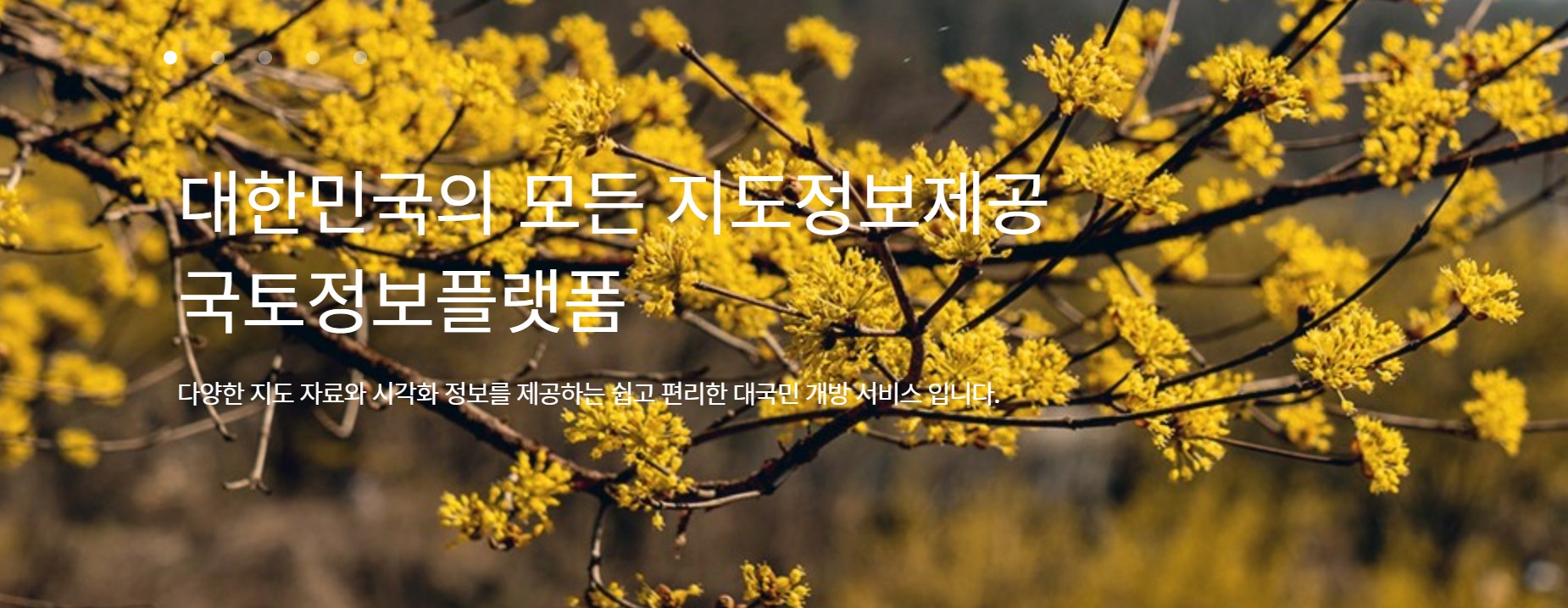 국토지리정보원 지도 &amp; 항공사진 다운로드