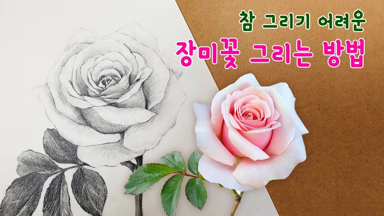 오월의 여왕 장미꽃 축제 개화 시기와 명소_8