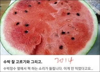 맛있는 수박 고르는법 5가지 feat 좋은 수박 암수 구별법_24