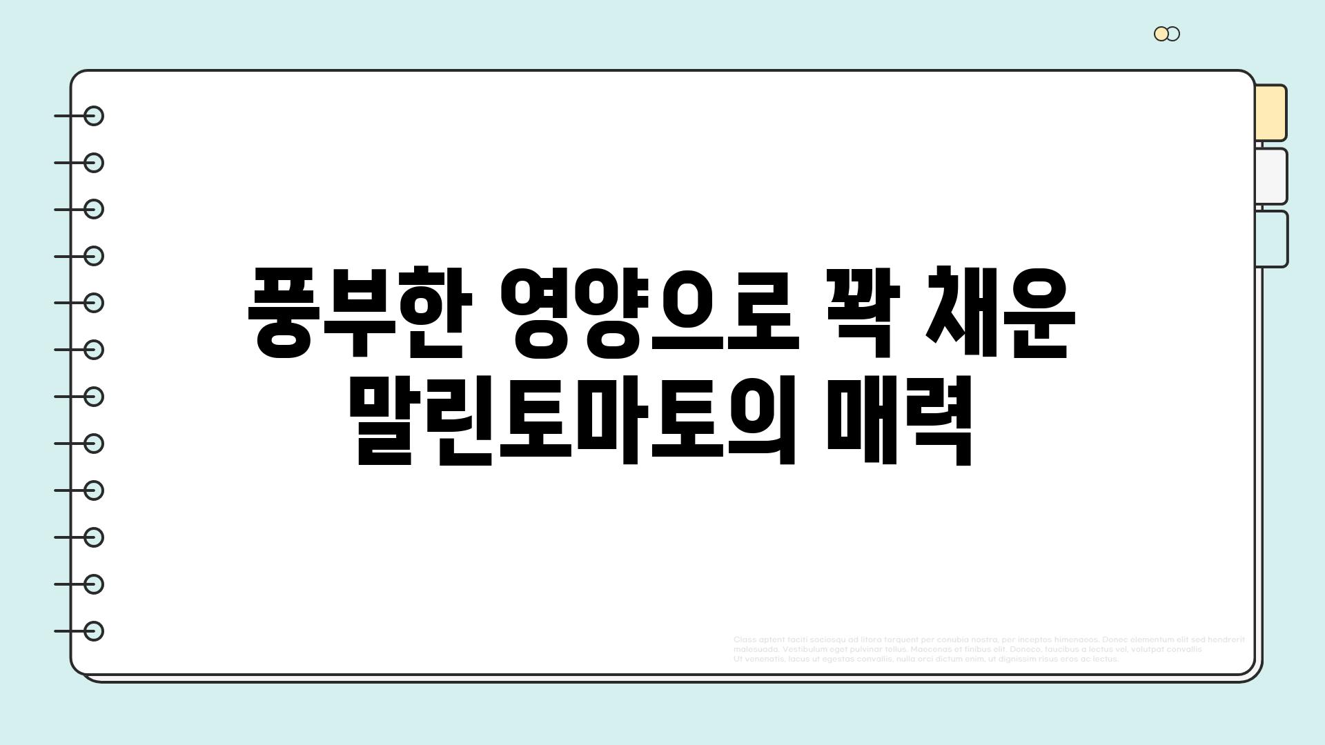 풍부한 영양으로 꽉 채운 말린토마토의 매력