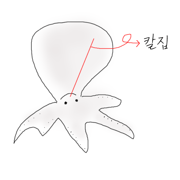  쭈꾸미 볶음 만들기, 쭈꾸미 손질