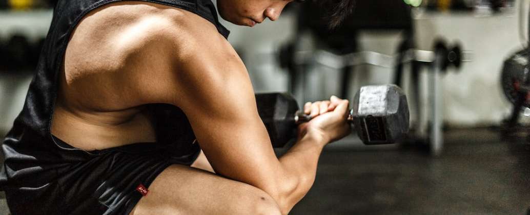 근육 회복 및 성장